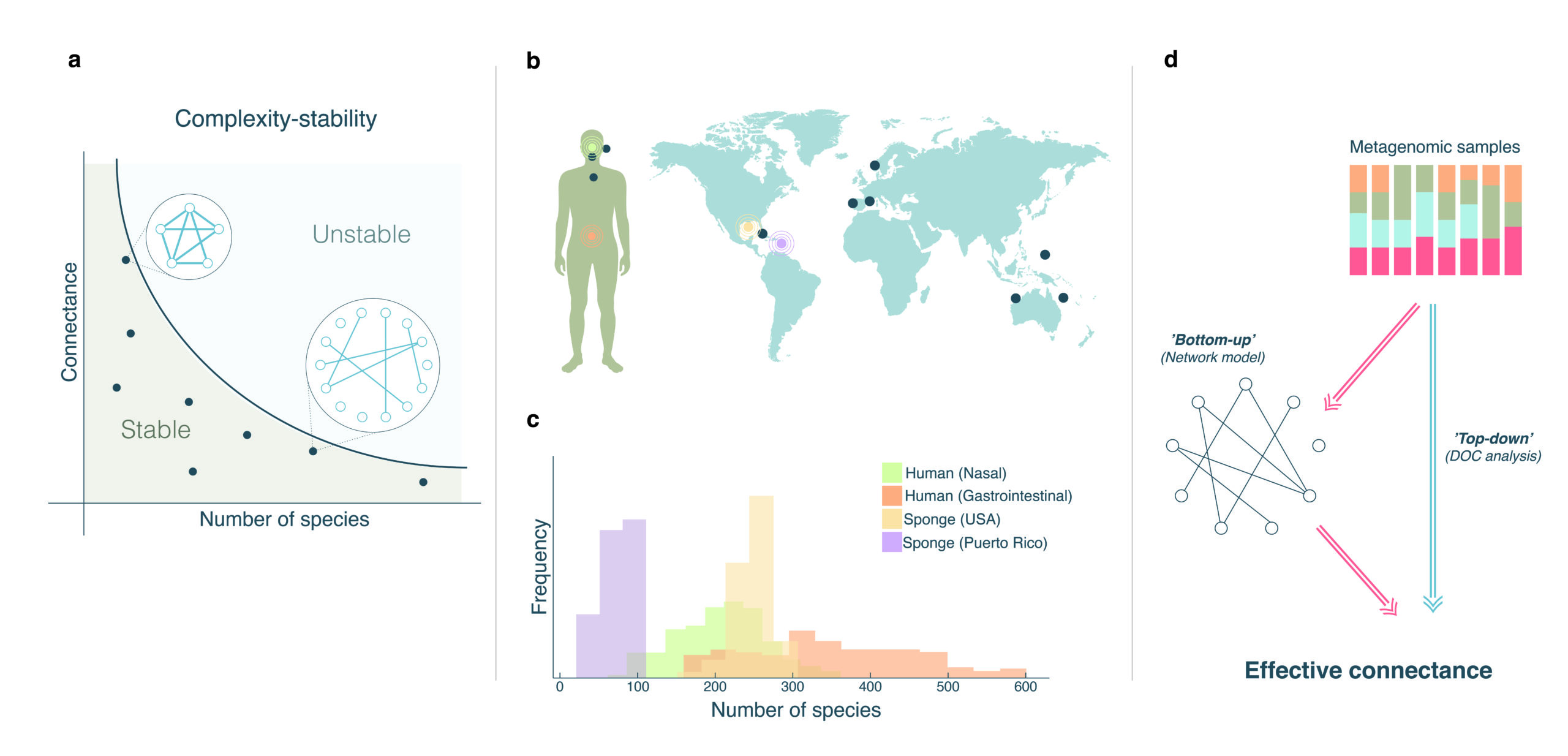 Scientific Posters & Academic Visualization